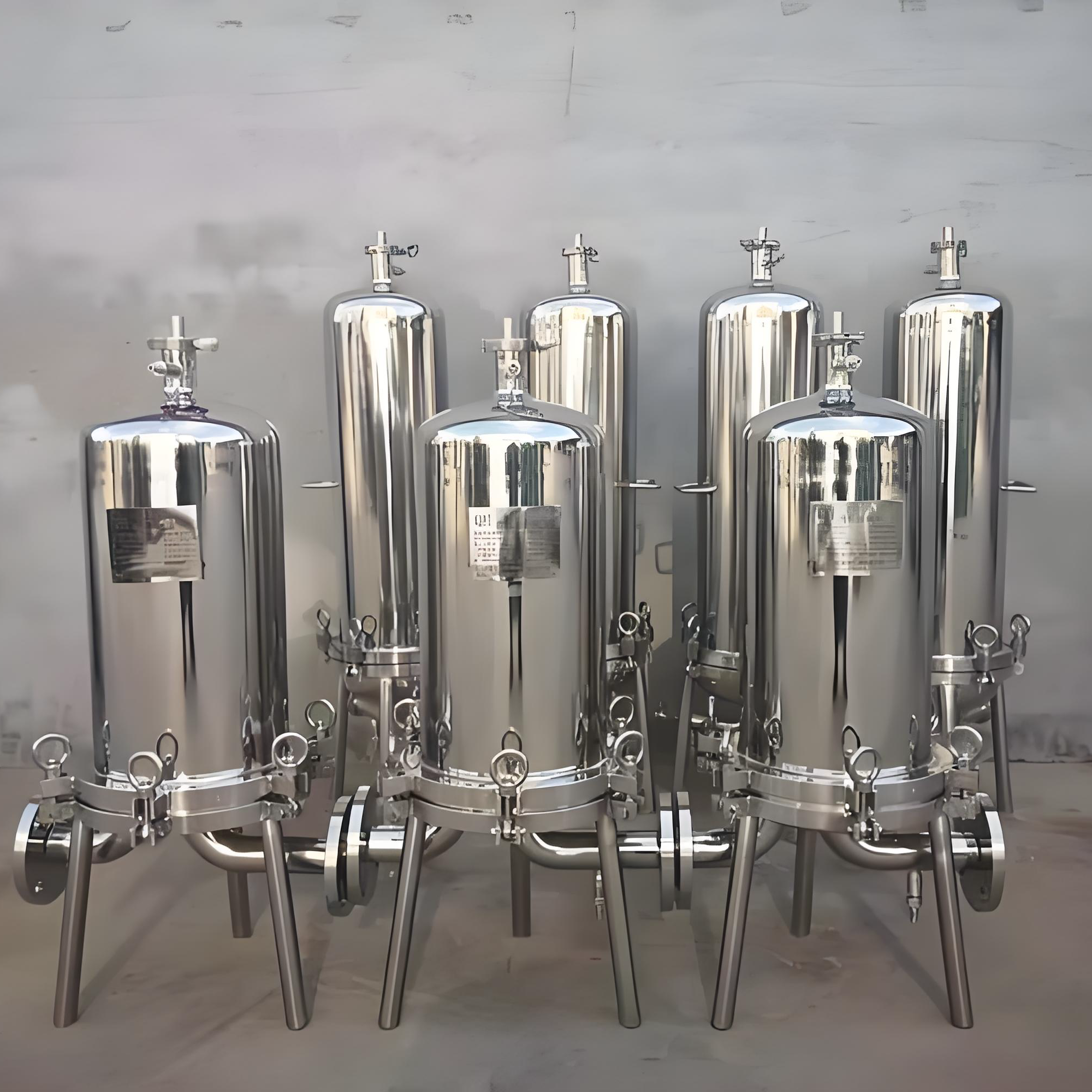 Hygienic Sanitary Stainless Steel Precision Filter for Dairy Production