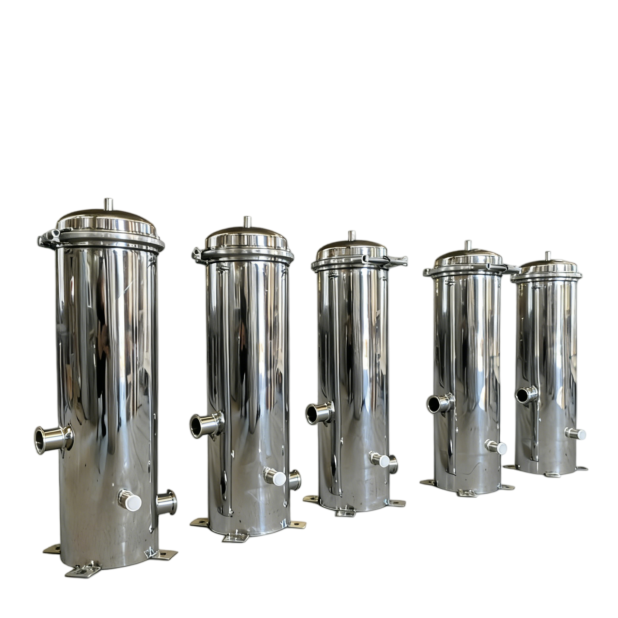Sanitary 316L Stainless Steel Tri-Clamp Precision Filter Housing with 0.1-100 Micron Cartridges for Pharmaceutical & Food Industry